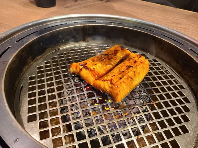 活鰻魚