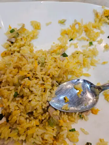 食每啖都有粗盐粒嘅咸鱼鸡粒炒饭