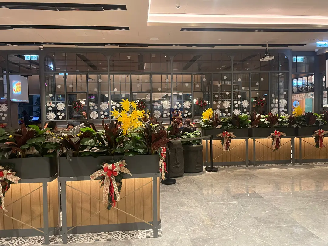 FIGS Bistro Mediterranean & Apero Terrace Bar's Photo International Coffee Shop in Tai Koo