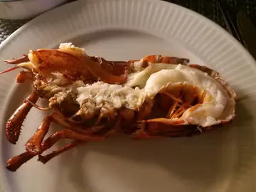 蒸龙虾