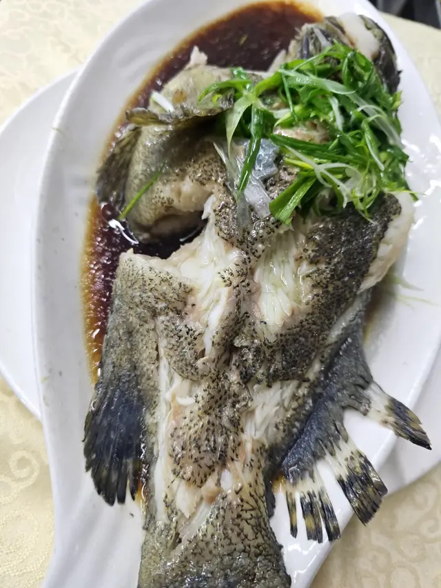 清蒸海斑魚