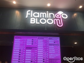 Flamingo Bloom