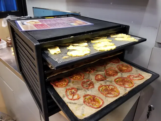 自設風乾機,
把蕃茄, 菠蘿 風乾兩天
令食物的味道濃縮香脆