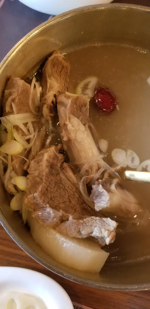 牛肋肉蘿蔔湯