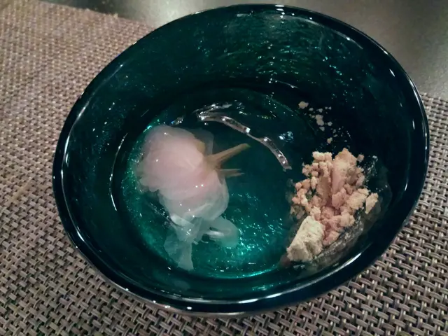 自家製水信玄餅