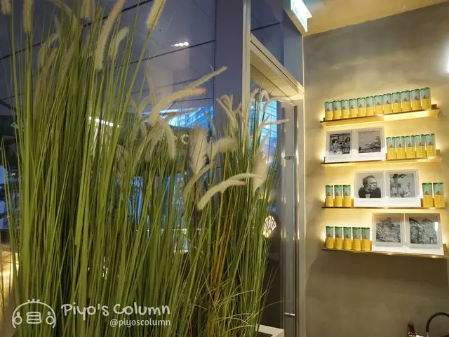 店面走小清新路線，有不少植物（連芒草都有），打卡一流。