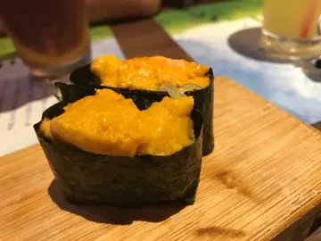 海胆军舰