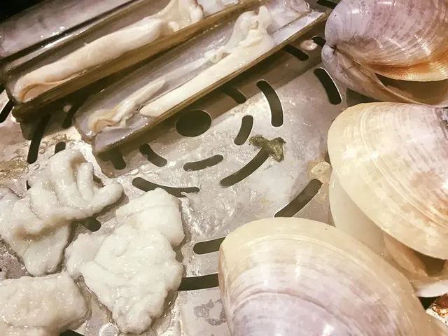 蘇格蘭蟶子皇、貴妃蚌