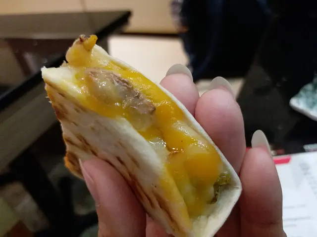 墨西哥薄餅芝士雞肉