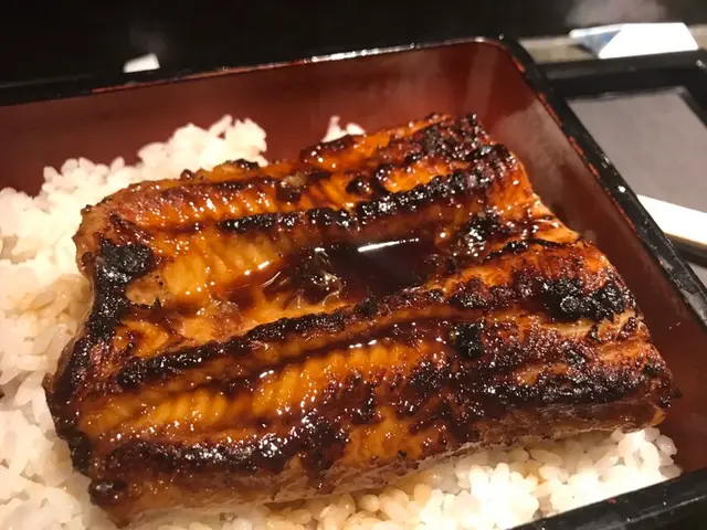 活燒蒲燒鰻魚飯