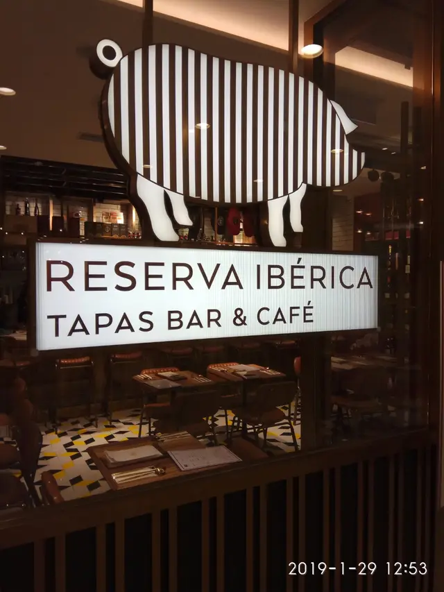 就系比哩只豬吸引左