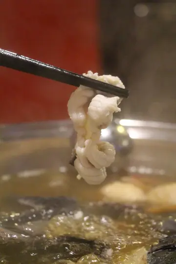 白鳝片