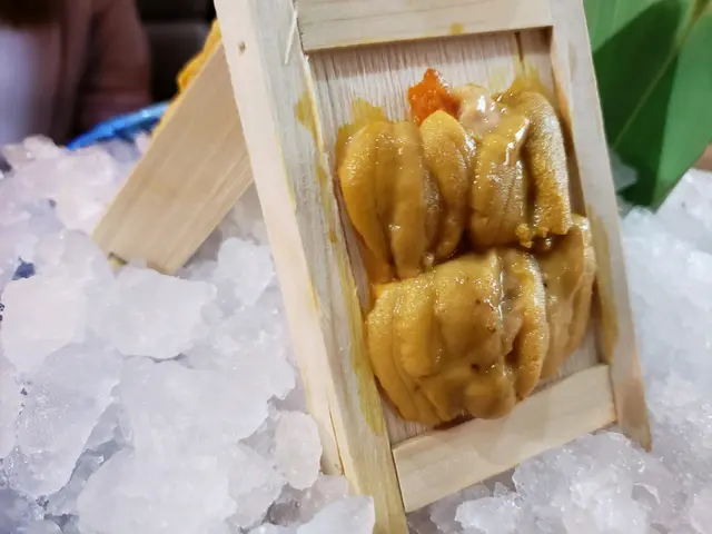 入座送海膽