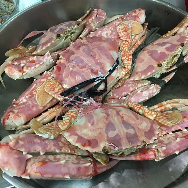 見到舖頭有好大隻忍不住影張相