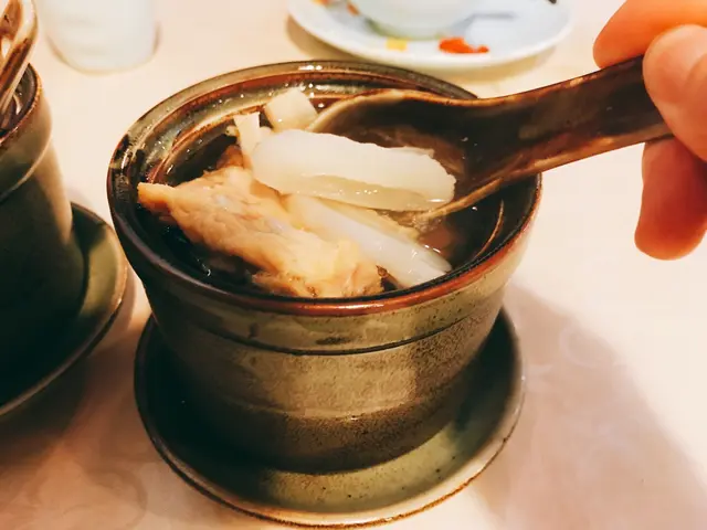 原盅燉川貝陳皮海底椰鱷魚肉湯