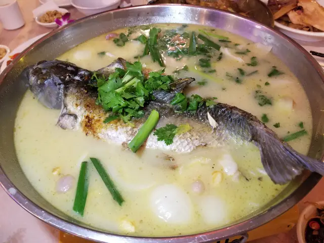 特色翅湯枱面蒸山坑鯇魚