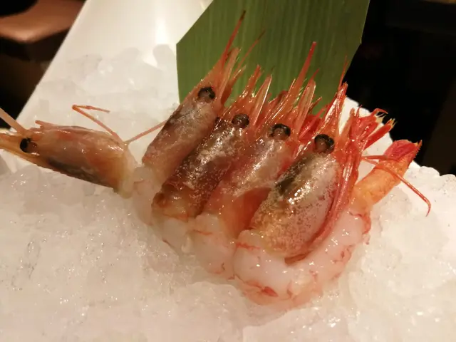 刺身