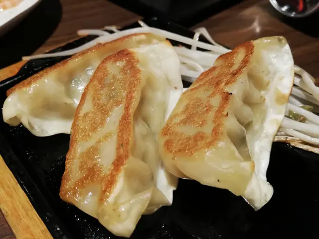 和民自慢鐵板餃子