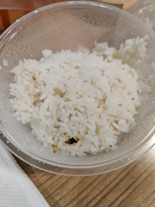 有動物屍體