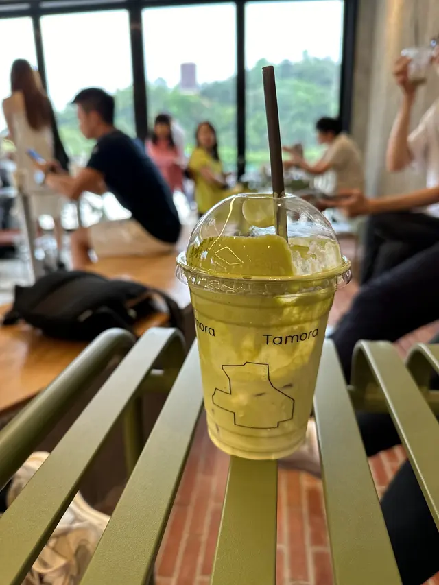 Ice Matcha Latte