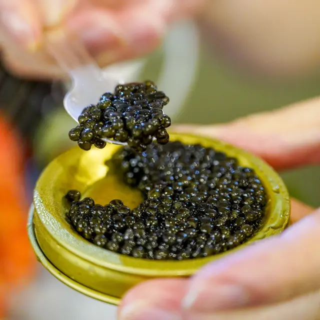 魚子醬