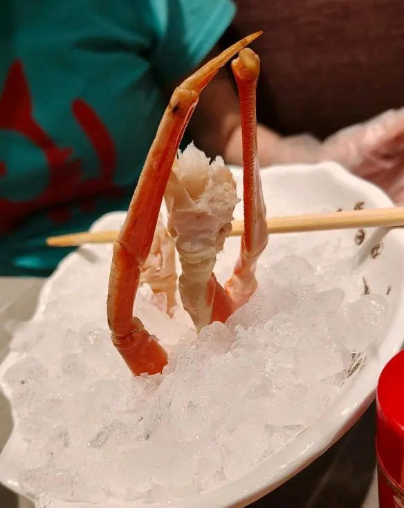 松葉蚧腳