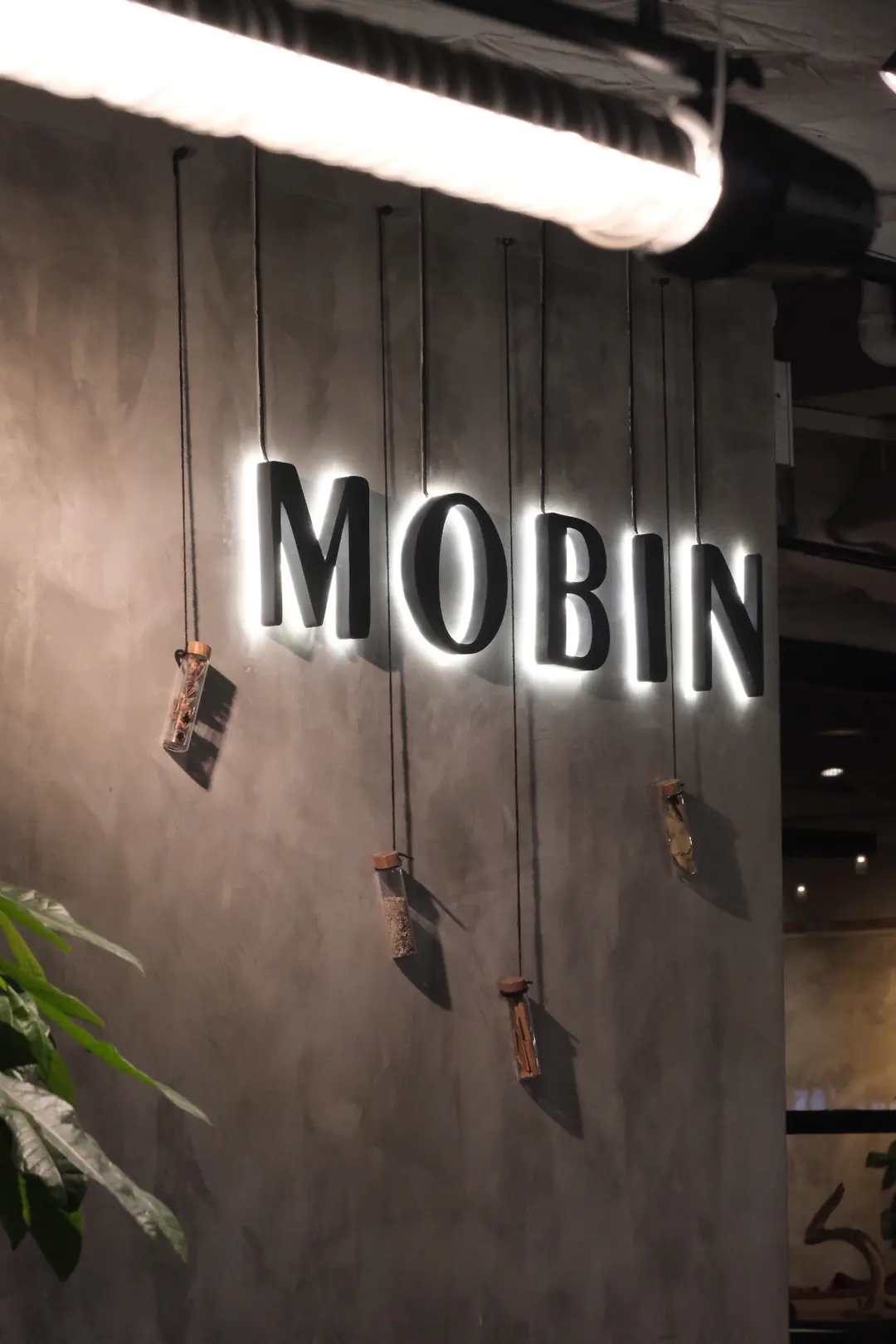 MOBIN