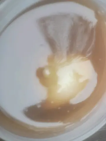 白桃乌龙荔枝果冻
