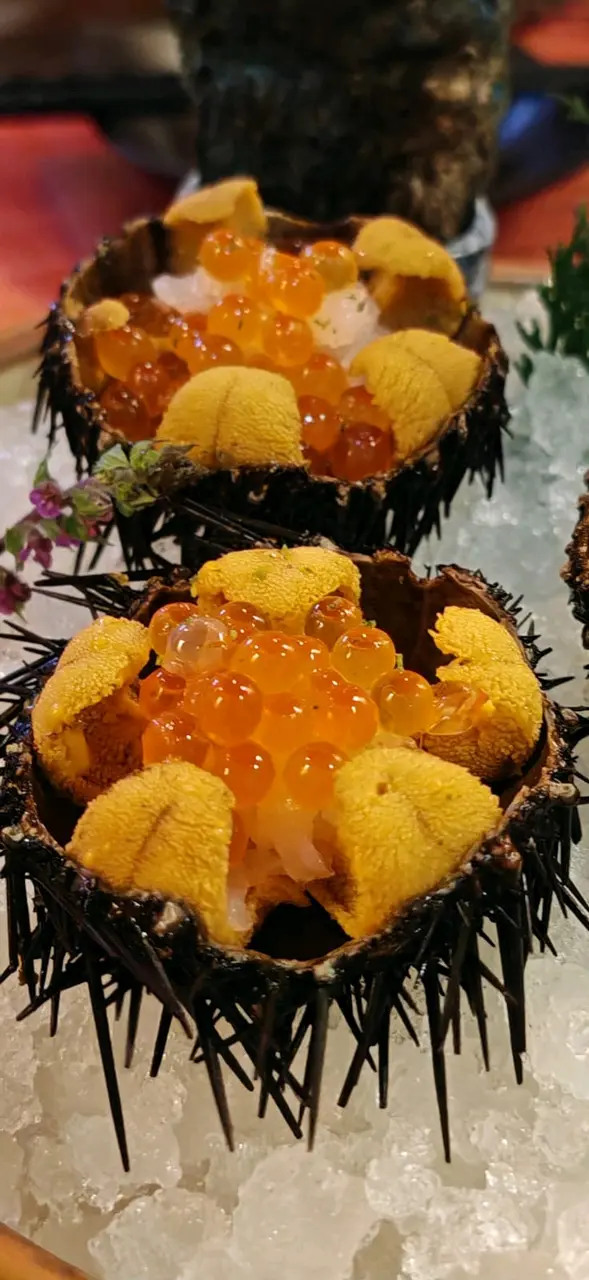 海膽刺身