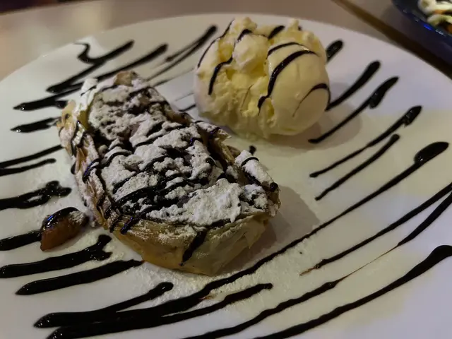 Apple Strudel with Ice cream