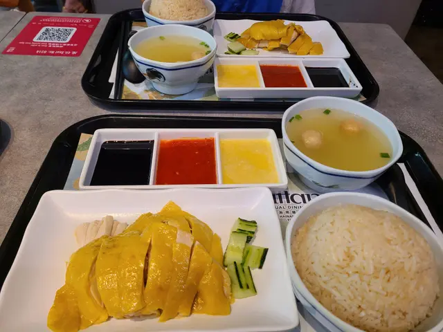 海南雞飯配蘇東魚丸雞湯