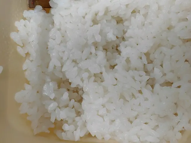 午餐 日本白米飯