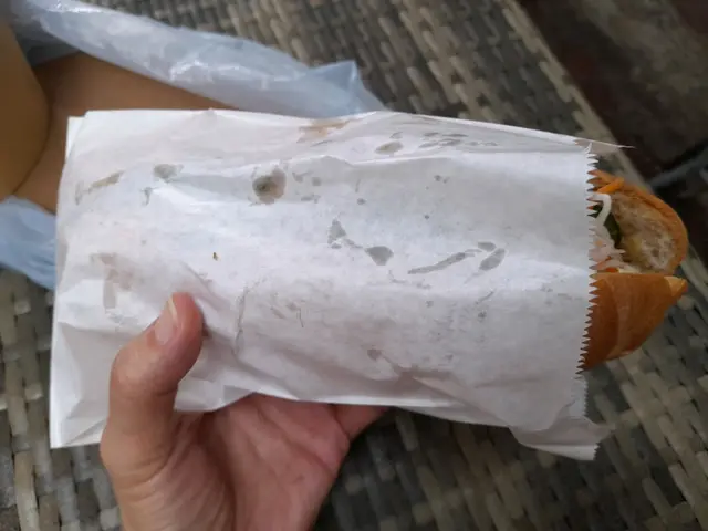肉醬法包