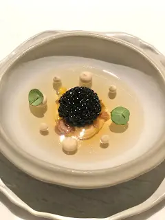 高湯甲魚凍