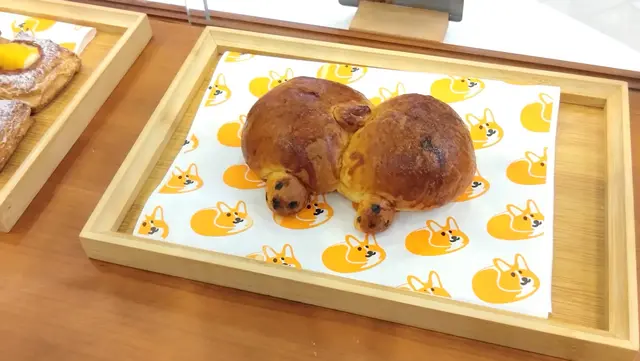 Corgi Pat bread 