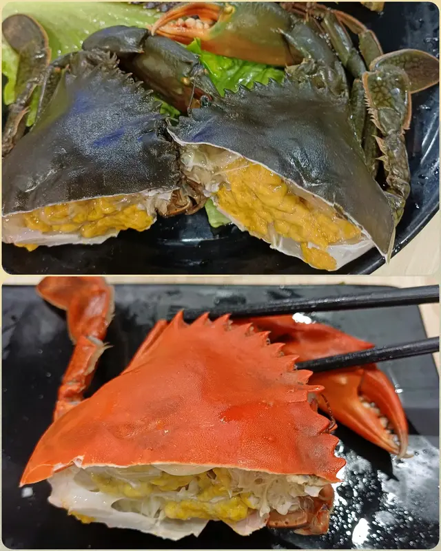 菲律賓野生奄仔蟹