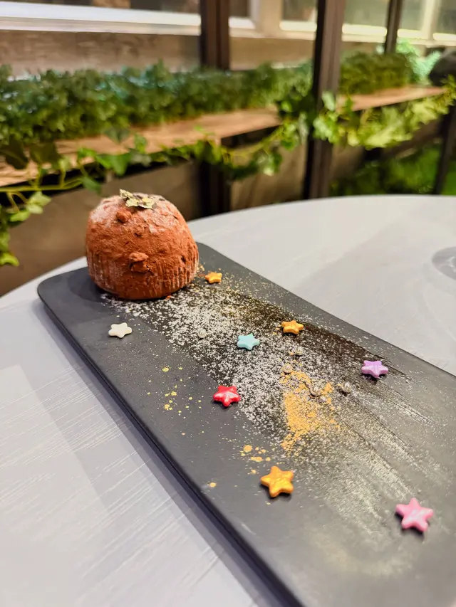 陪你去看流星雨