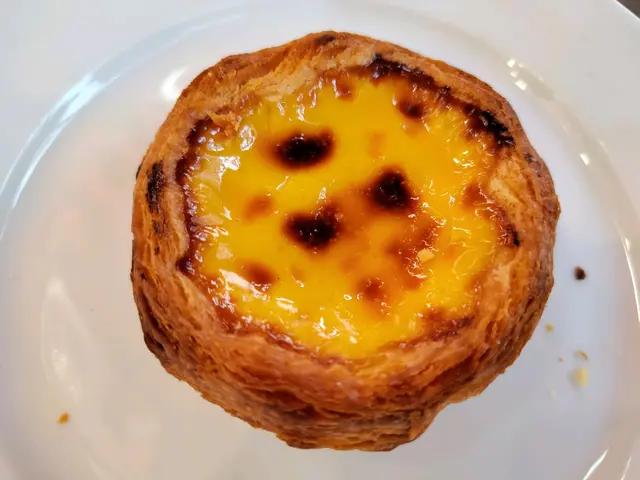 葡撻