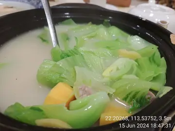 鹹豬骨大芥菜湯