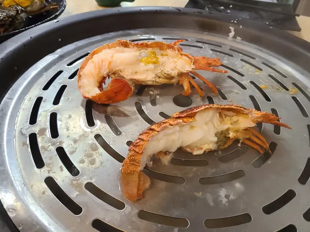 野生琵琶龍蝦/澳洲青年龍蝦
