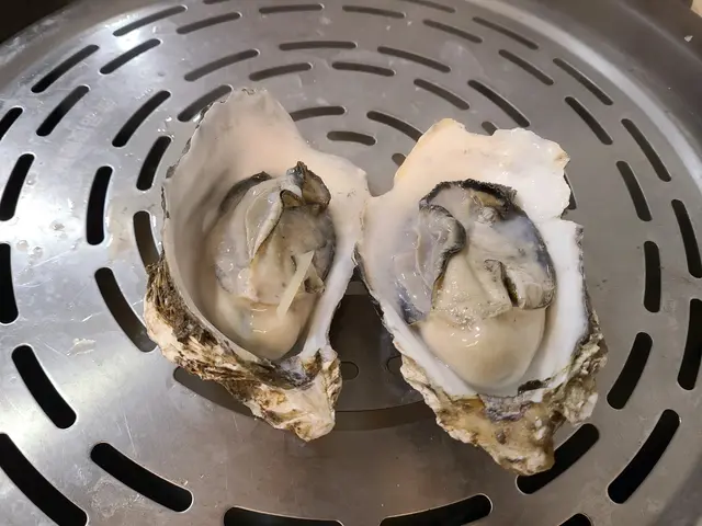 韓國釜山蠔
