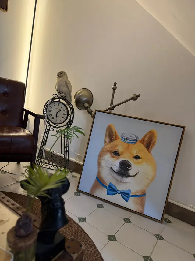 仲有舖頭代表動物貓頭鷹🤍🤍🤍￼￼