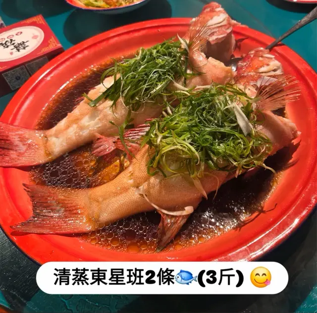 #foodie #香港美食 #銅鑼灣大排檔#清蒸東星斑