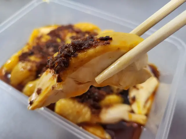 無骨口水雞飯 