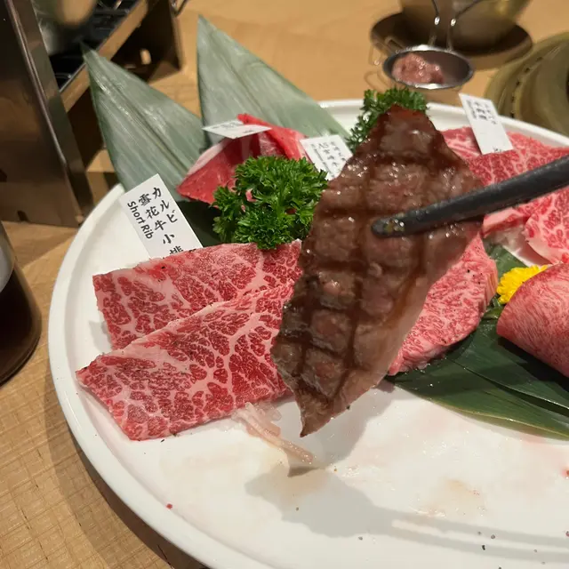 雪花牛小排