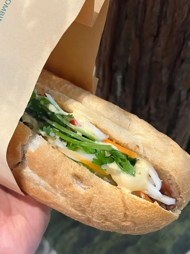 照燒雞越南法包BÁNH MÌ 