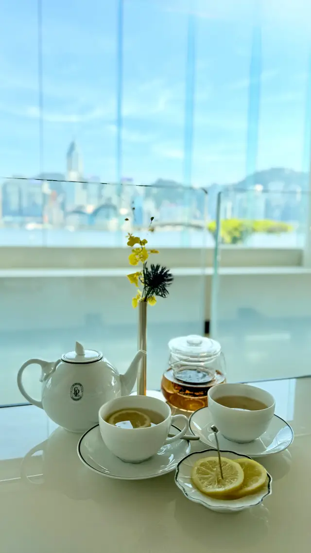 蝶豆花茶、普洱