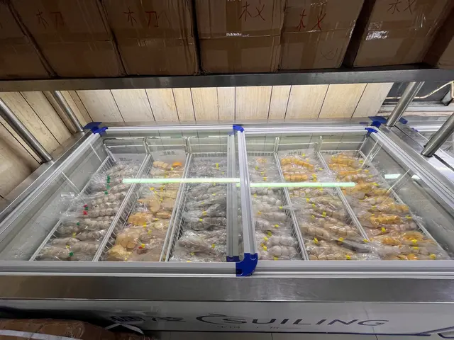 多款丸類