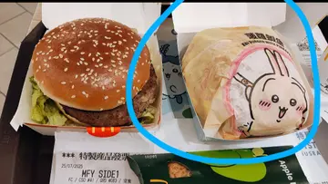 菠萝虾堡