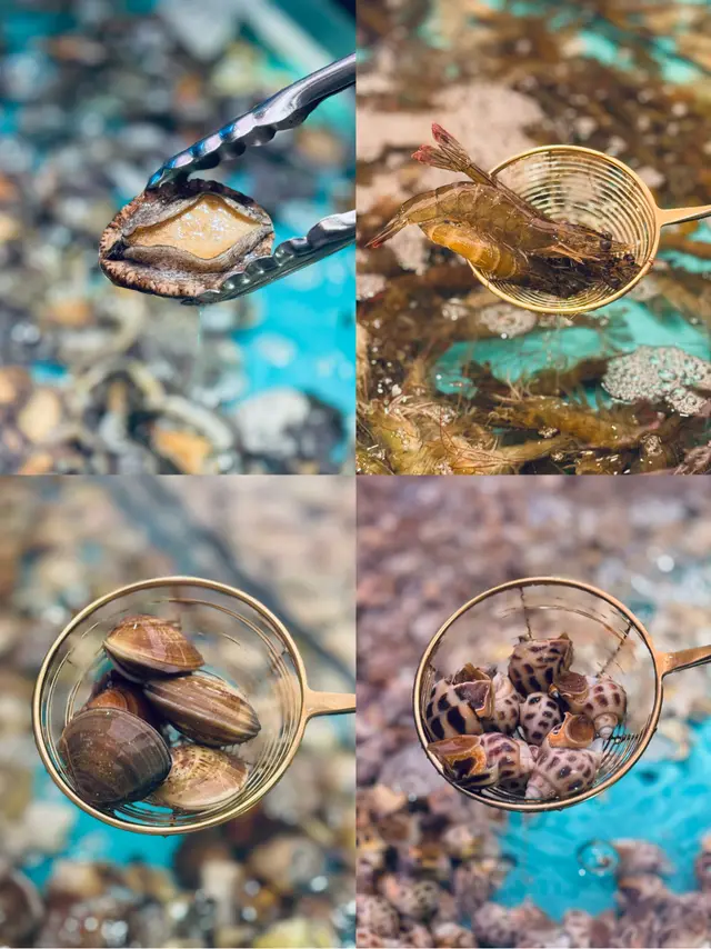 即撈鮮活海鮮